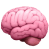 icon brain